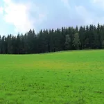 Der Almblick Strallegg