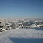 Hotel Der Almblick 4*