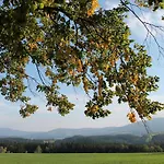 Der Almblick Hotel Strallegg