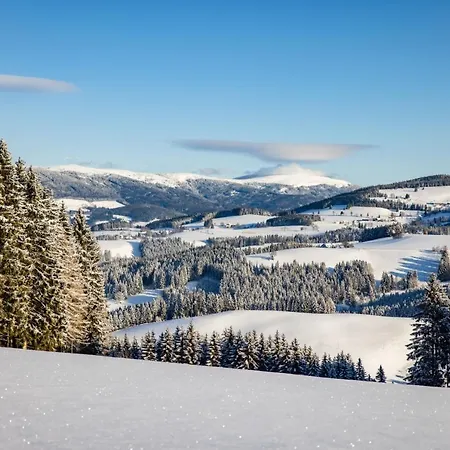 Der Almblick Ξενοδοχείο