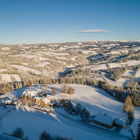 فندق Der Almblick