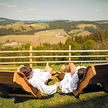 Hotel Der Almblick Strallegg