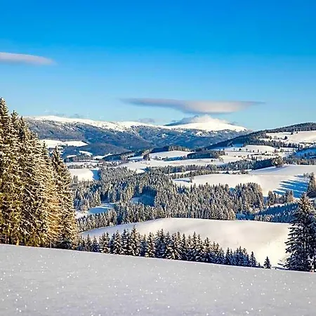 Hotel Der Almblick 4*
