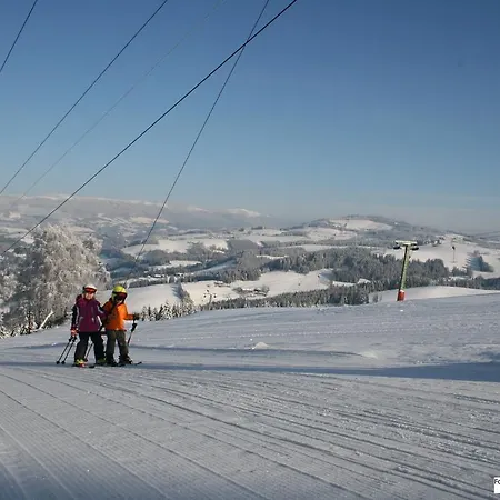 Hotel Der Almblick 4*