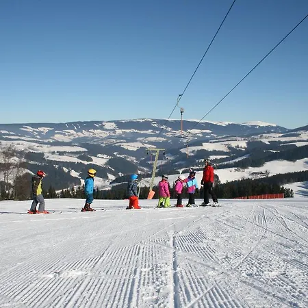 Der Almblick