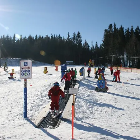 فندق Der Almblick