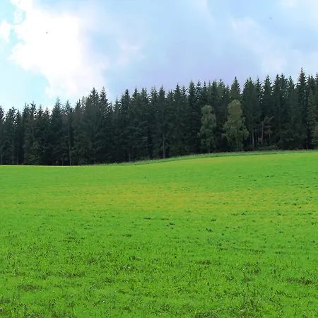 Der Almblick Strallegg