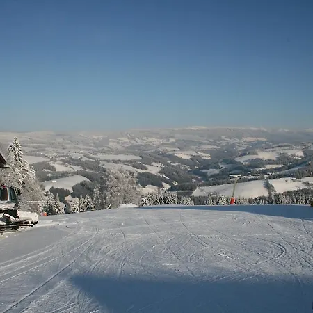 Hotel Der Almblick 4*