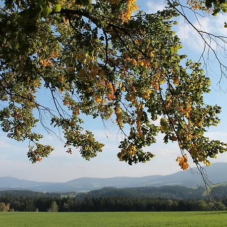 Der Almblick Hotel Strallegg
