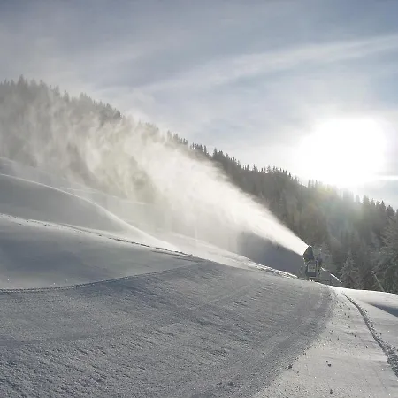 فندق Der Almblick 4*