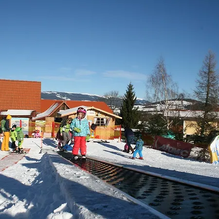 Hotel Der Almblick 4*