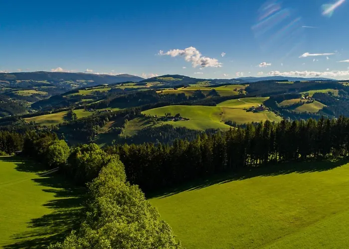 Der Almblick 酒店 4*