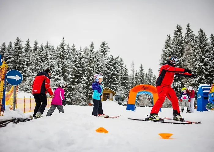 酒店 Der Almblick Strallegg