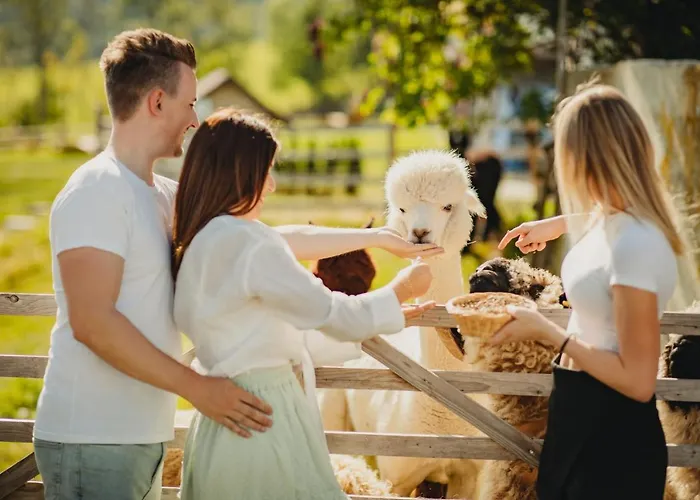 Der Almblick Hotel 4*