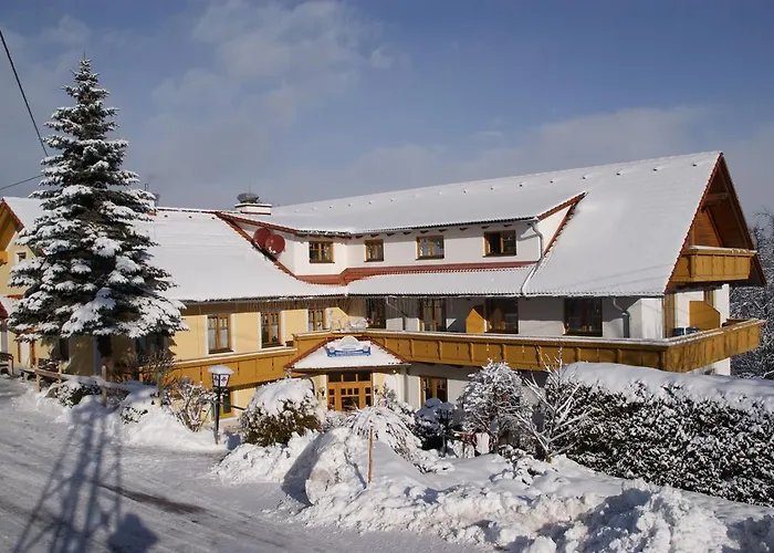 酒店 Der Almblick 4*