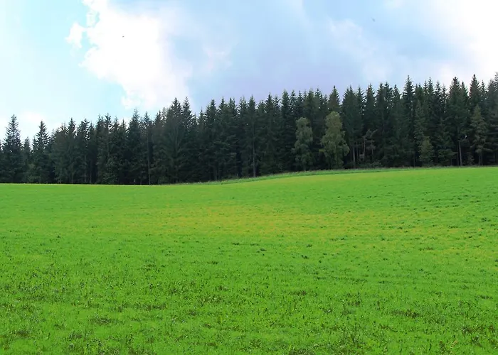 Der Almblick Strallegg