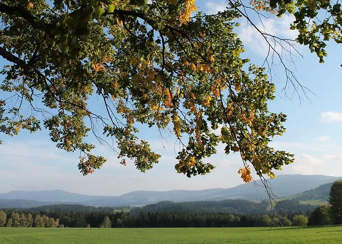 Der Almblick 酒店 Strallegg