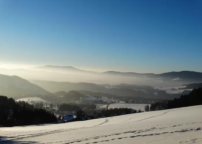 Der Almblick 酒店 Strallegg