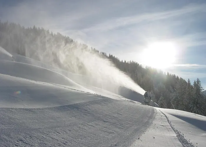 Hotell Der Almblick 4*